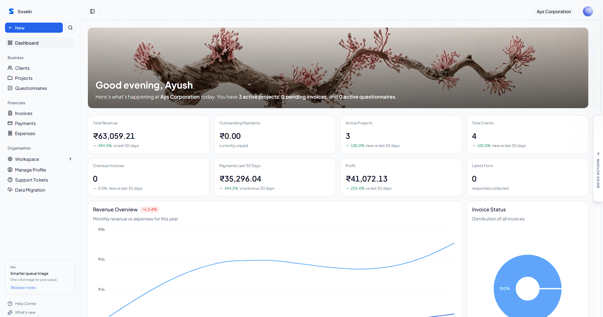 Soseki Dashboard Preview