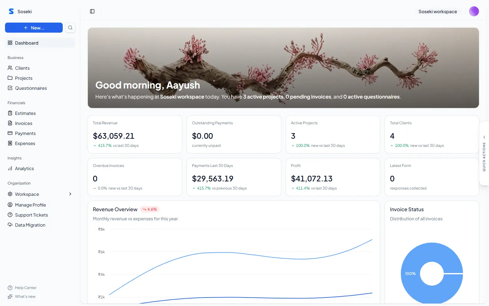Soseki Dashboard Preview